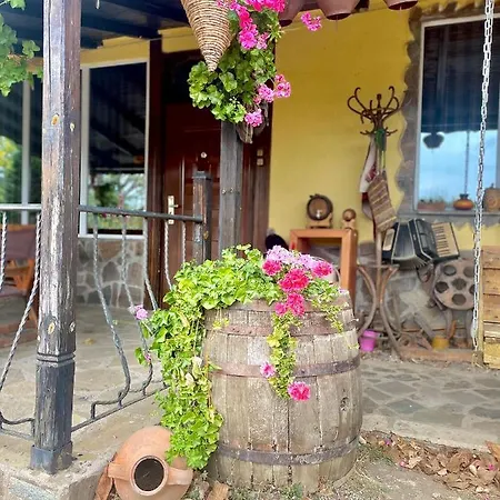 голямо дряново *